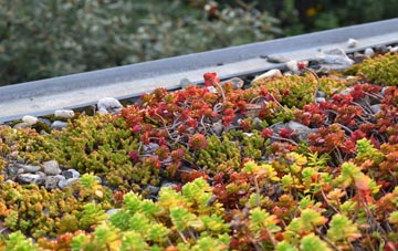 the cost of Trefin green roof installation