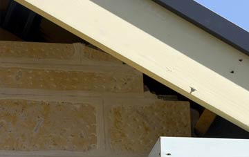 soffit repair Trefin