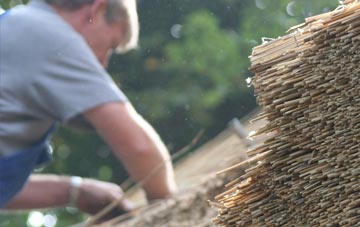 professional Trefin thatchers